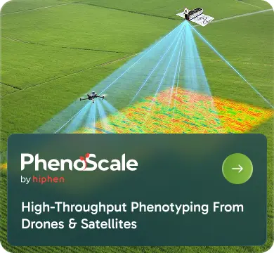PhenoScale
