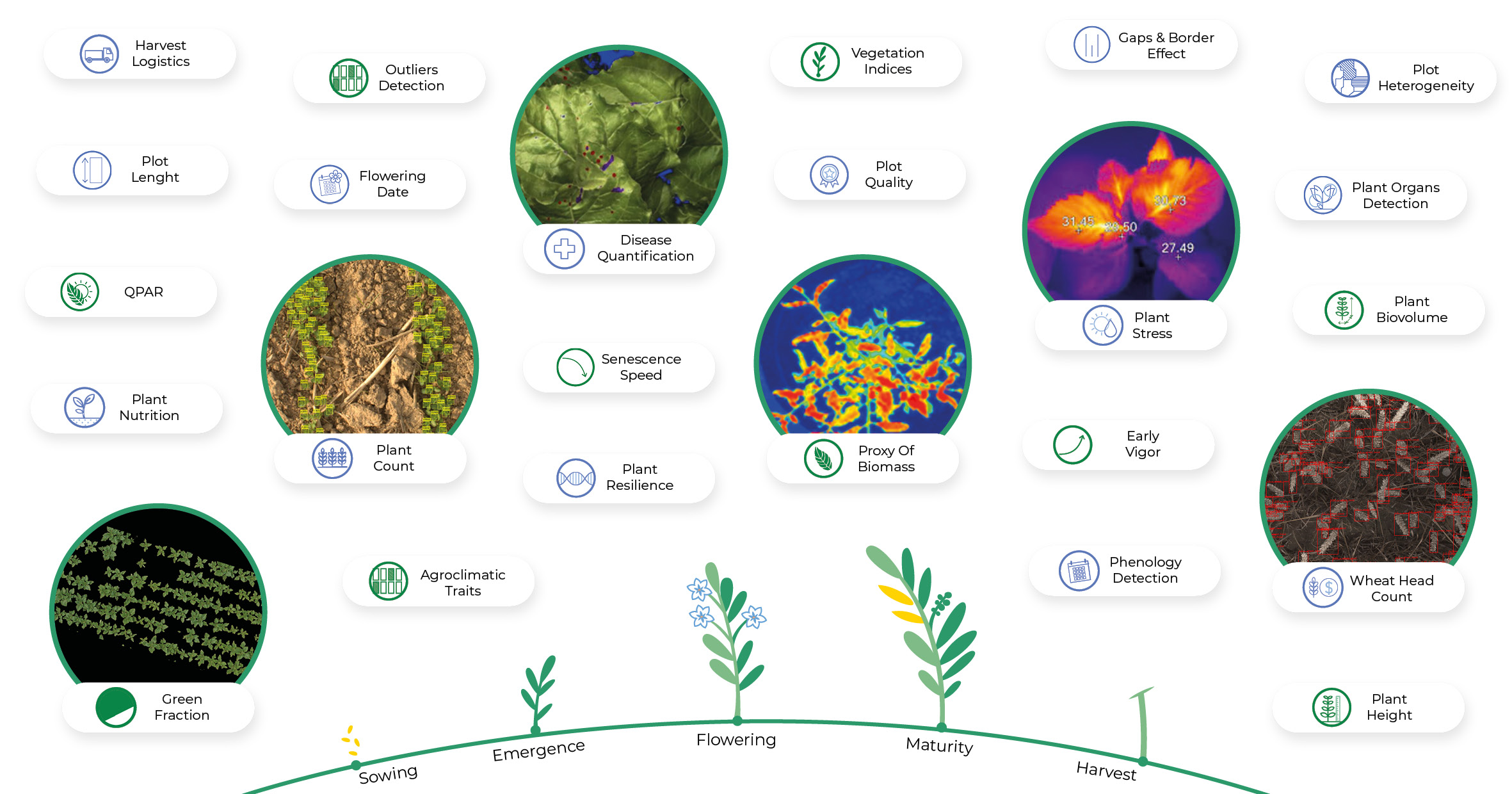 hiphen traits off-the-shelf