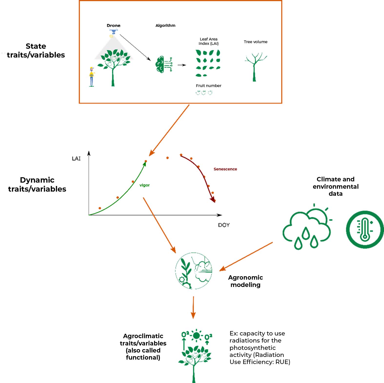 traits diagram