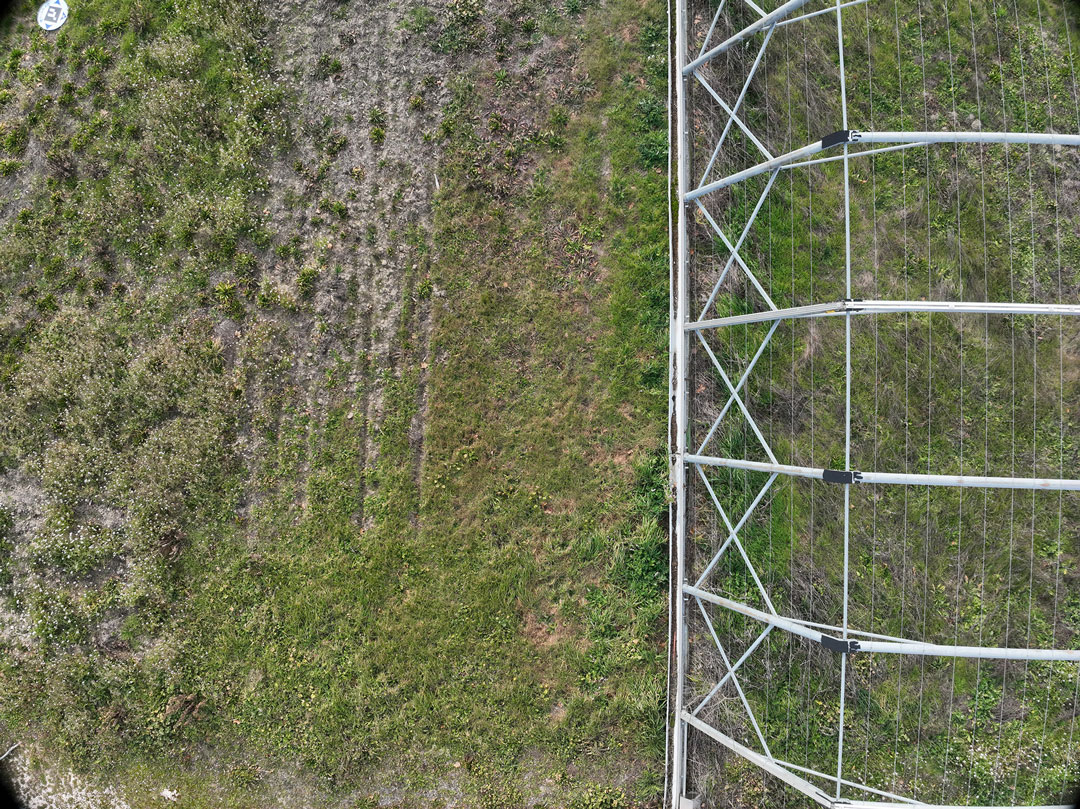 Figure 6: RGB image from the Mavic 3M