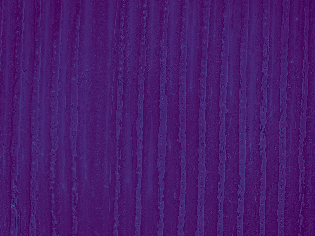 Figure 5: NDRE of Strawberries computed from Mavic 3M