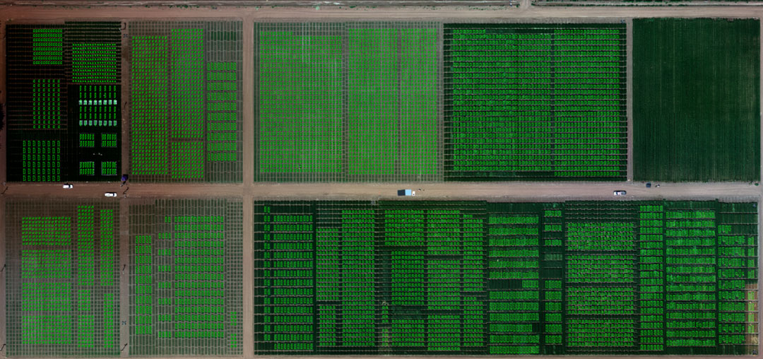 Big plots trial - Automating plot mapping with digital tools is highly helpful.
