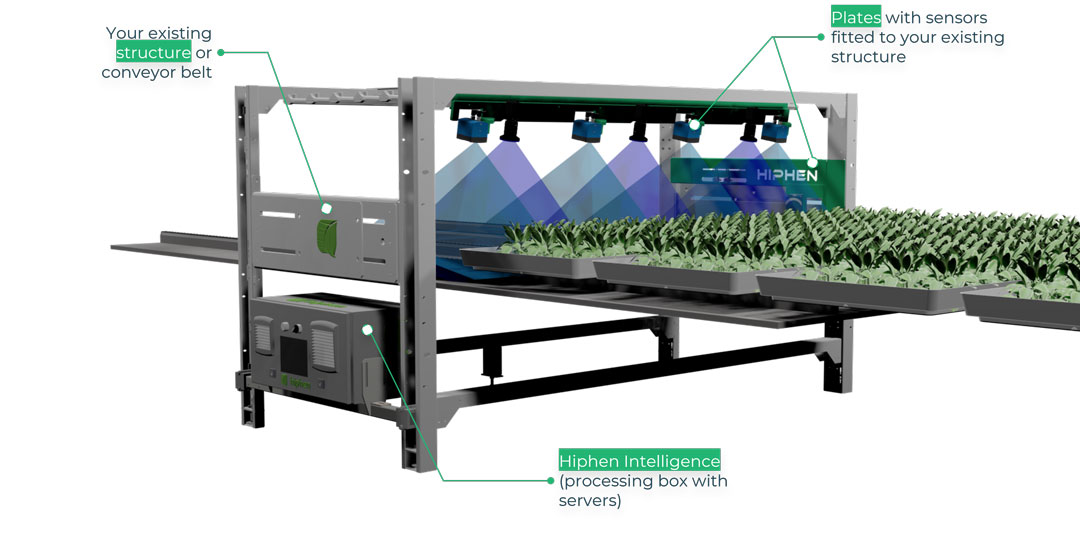 Another PhenoStation® System Configuration (in this case tailored to a vertical farm needs).