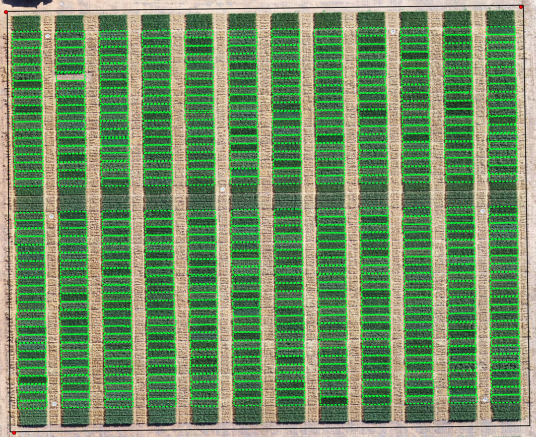 Small plots trial - Plot map still could be done manually but automation make it even more easy.