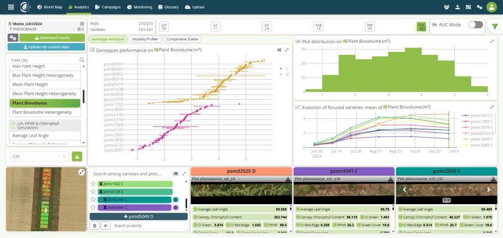 Variety performance comparison in field plot trials