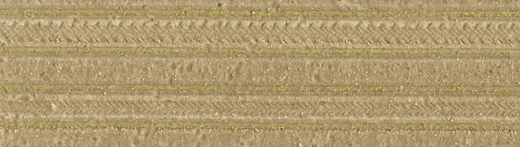 Seedling emergence evaluation at field scale