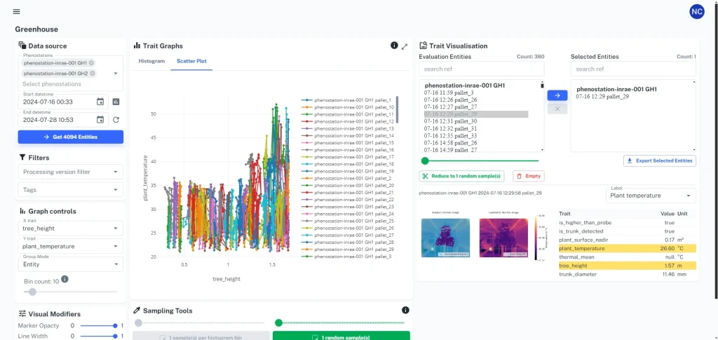 Greenhouse phenotyping dashboard with trait analysis