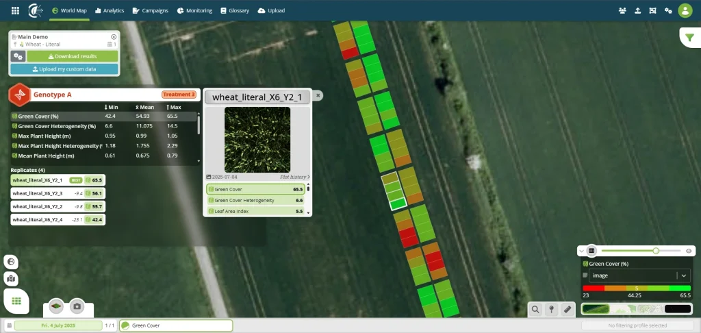 Drone-based field phenotyping in action