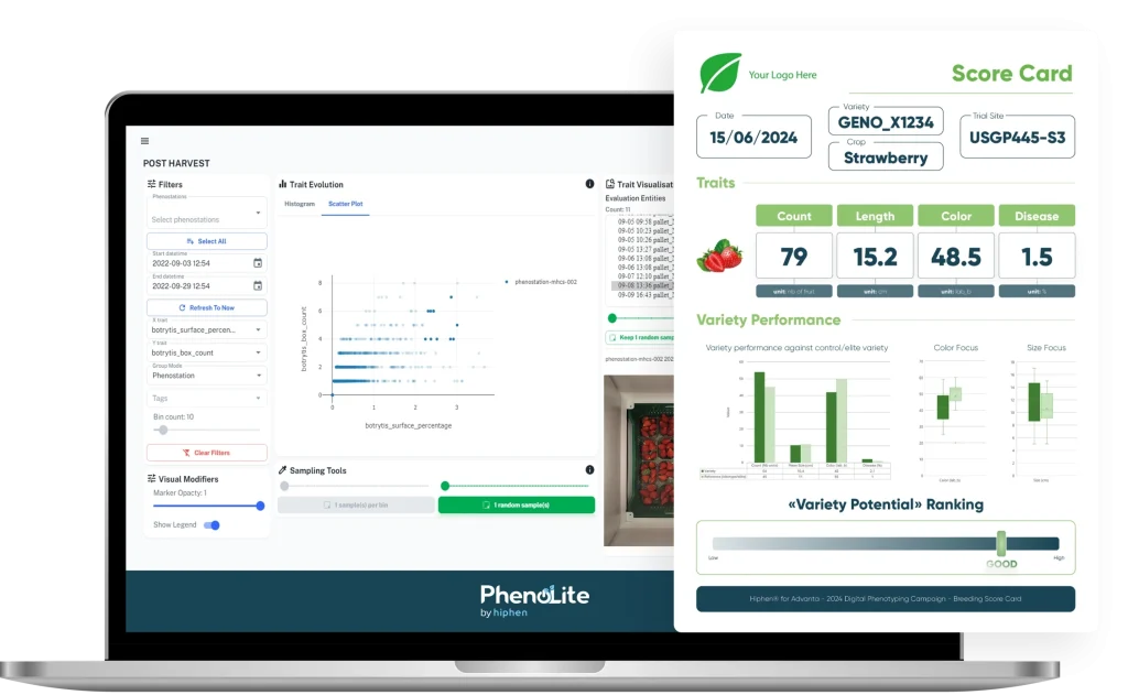 Cloverfield dashboard with berry score card and performance charts