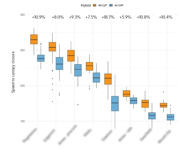 Water use efficiency at single plant level