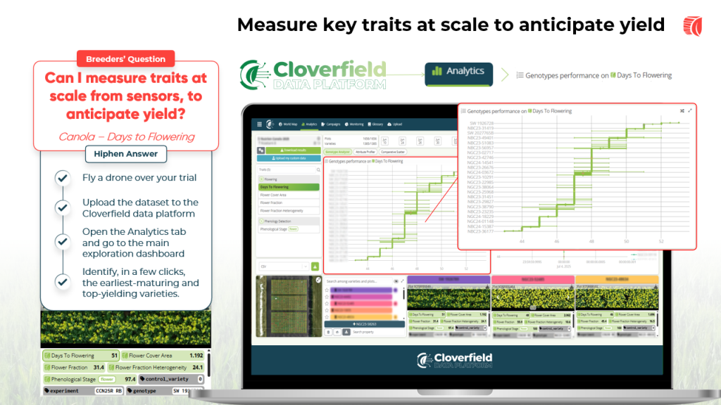 Speed to Flowering assessment for better yield estimations