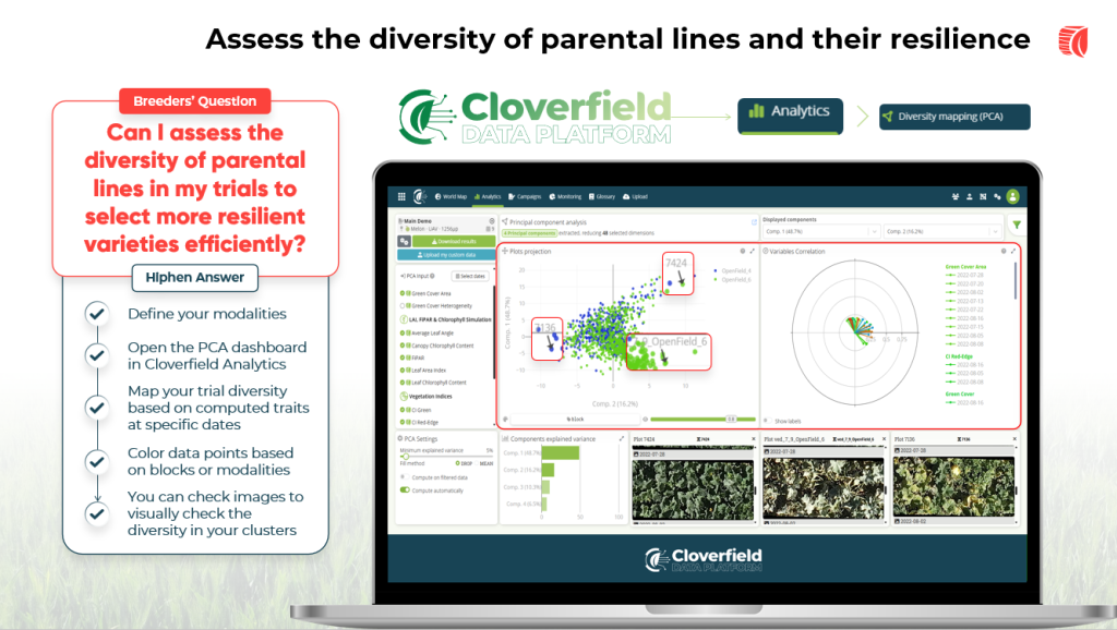 Assess the diversity of parental lines and their resilience to stress