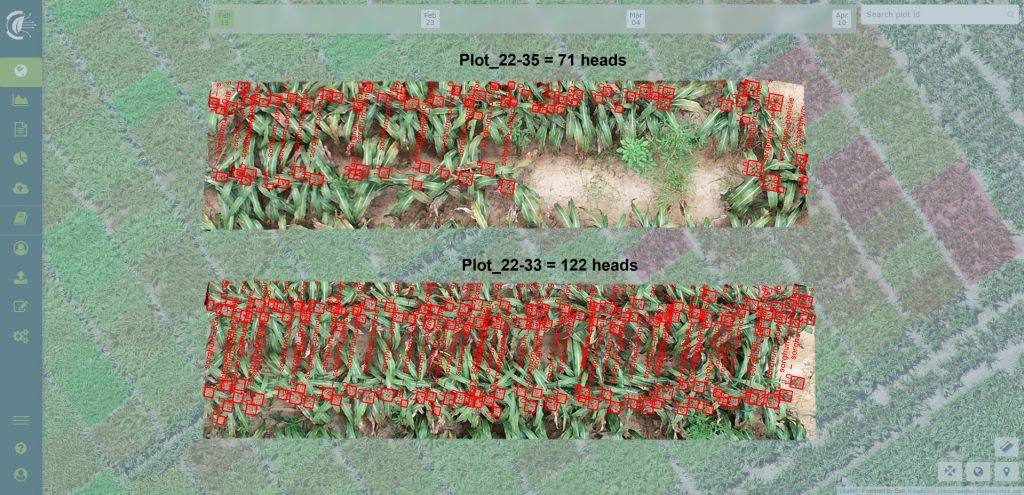 Digital traits to correct yield at the end of the season through plot-truth evidence