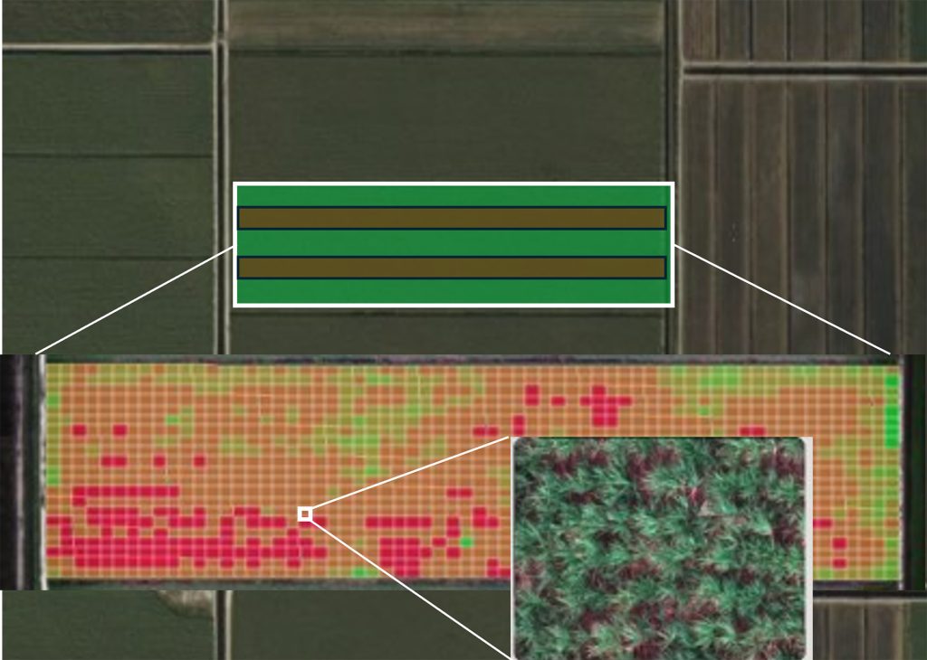 Digital traits in non-plot trials to identify best usage guidelines before commercialization