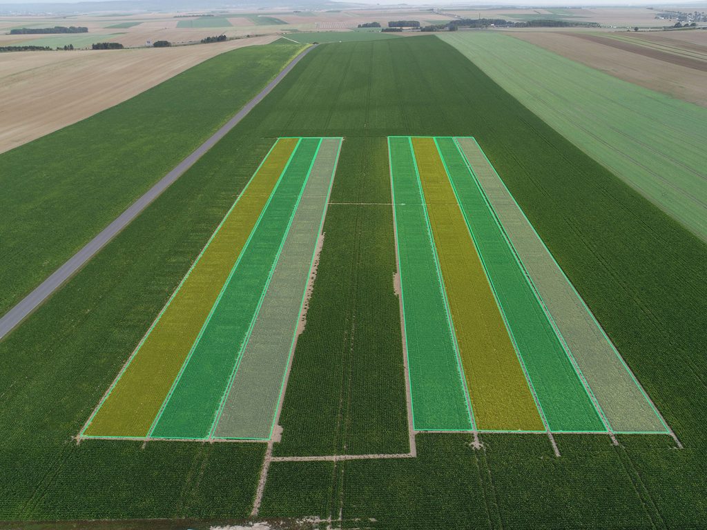 Digital traits in non-plot trials to identify best usage guidelines before commercialization