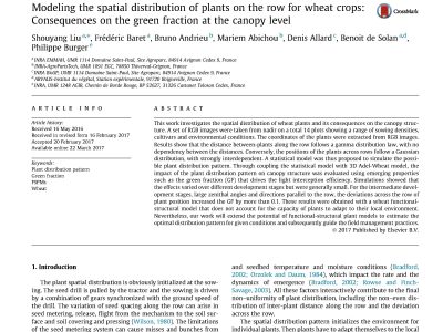 Modeling the spatial distribution of plants on the row for wheat crops: Consequences on the green fraction at the canopy level