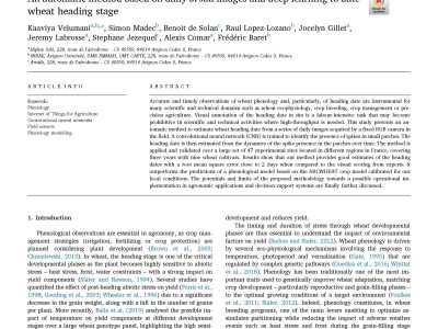 An automatic method based on daily in situ images and deep learning to date wheat heading stage