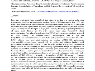 Estimates of maize plant density from UAV RGB images using Faster-RCNN detection model: impact of the spatial resolution